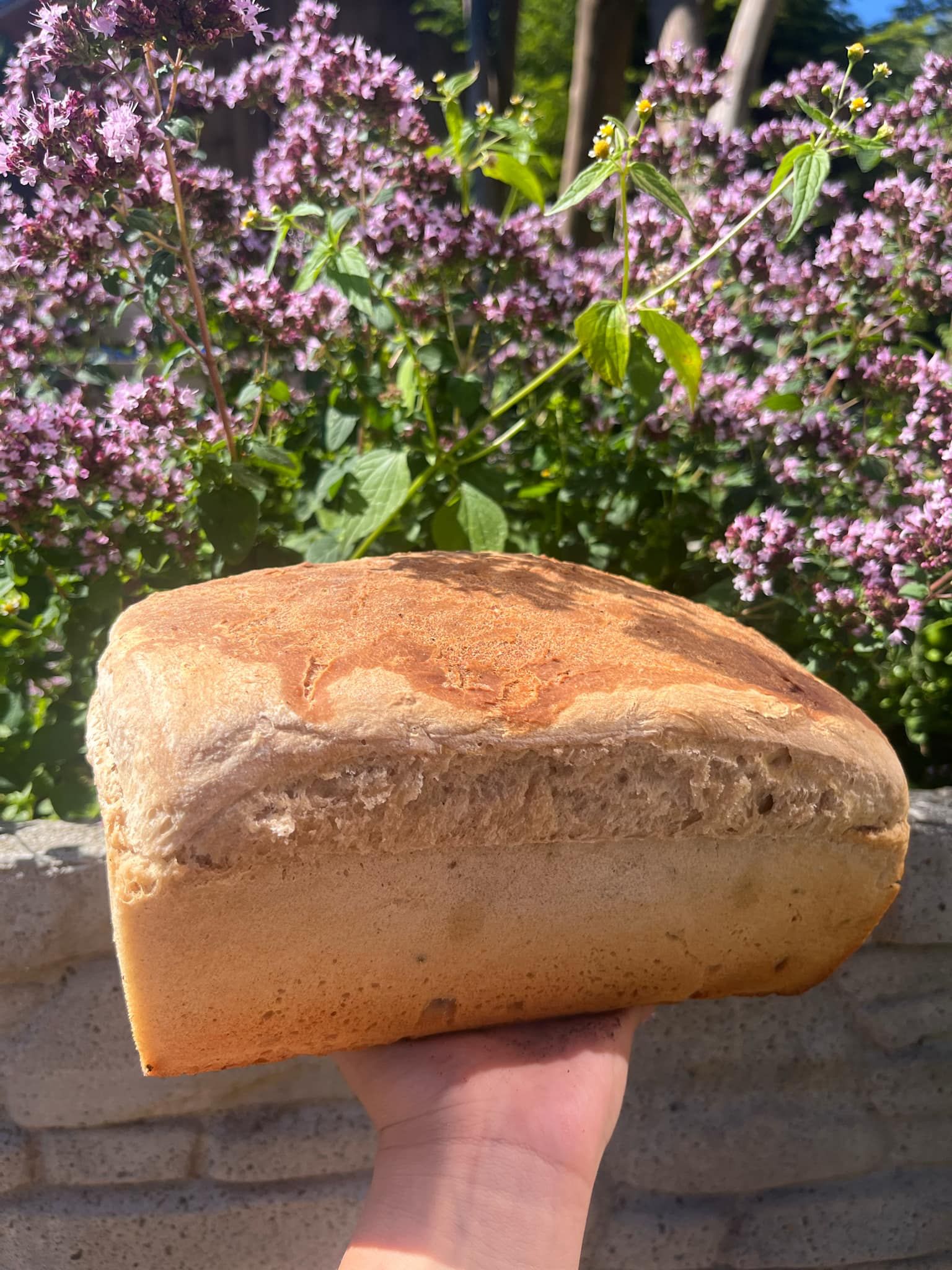 Chleb Pszenżyt – 2 pak - obrazek 2