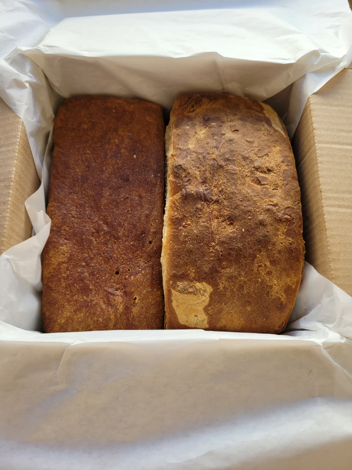 Chleb Pszenżyt i Płaskurnik – 2 pak - obrazek 2