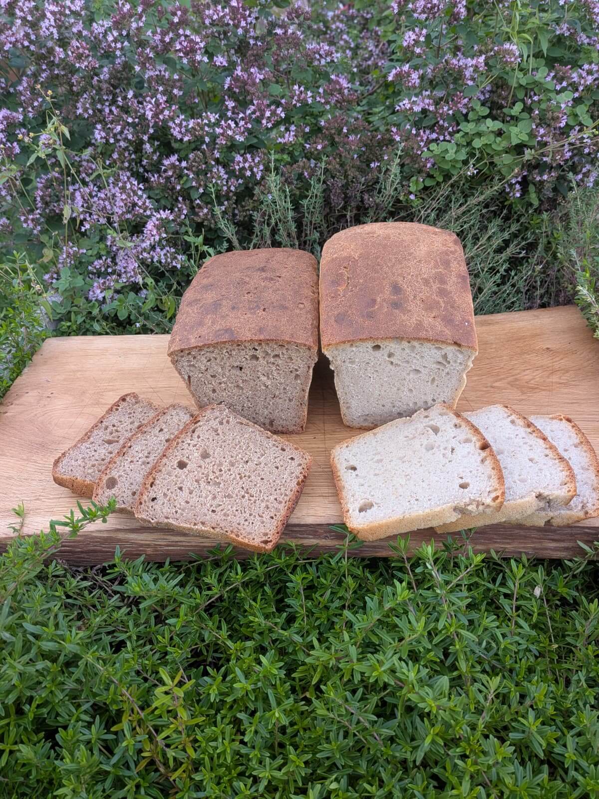 Chleb Pszenżyt i Płaskurnik – 2 pak